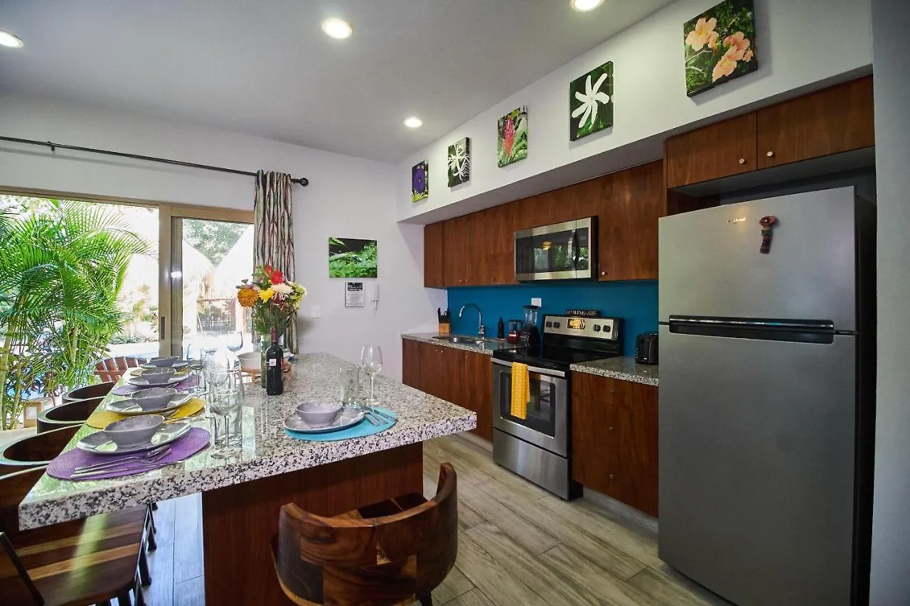 Long-Term Rental Apartment In Aldea Zama טולום