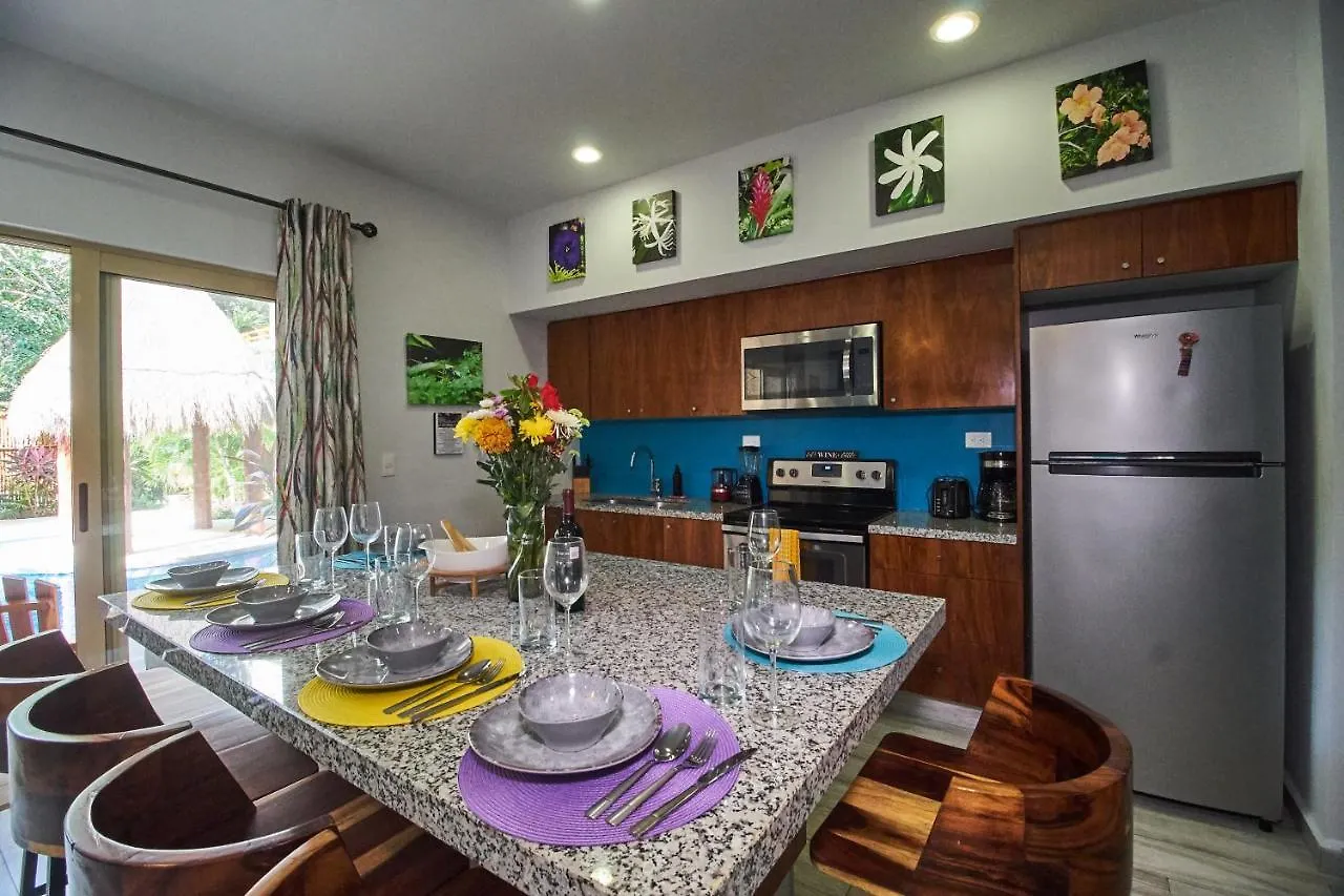 Long-Term Rental Apartment In Aldea Zama טולום